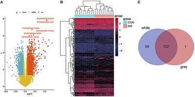 The Application of Consensus Weighted Gene Co-expression Network Analysis to Comparative Transcriptome Meta-Datasets of Multiple Sclerosis in Gray and White Matter